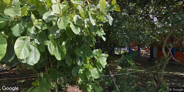 SUPERVISORIA EDUCATIVA PARA CHIAPAS SUBDIRECCION EDUCACIÓN PRIMARIA